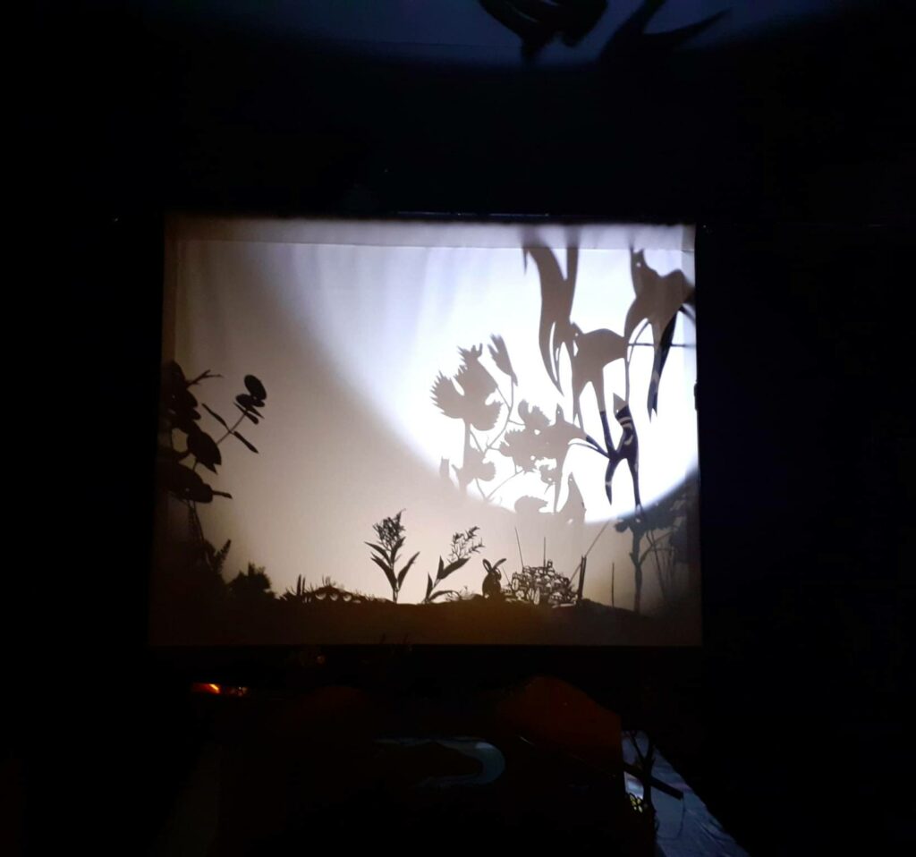 Le lapin et le ruisseau | Gallerie d'image 4